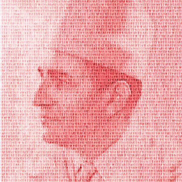 Résistants : Sa Majesté le Roi Mohamed V